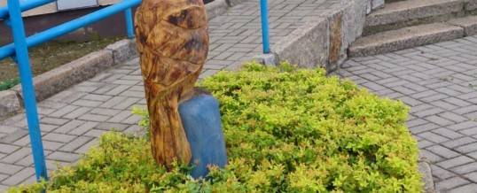 KONKURS “IMIĘ DLA SOWY BIBLIOTEKI”